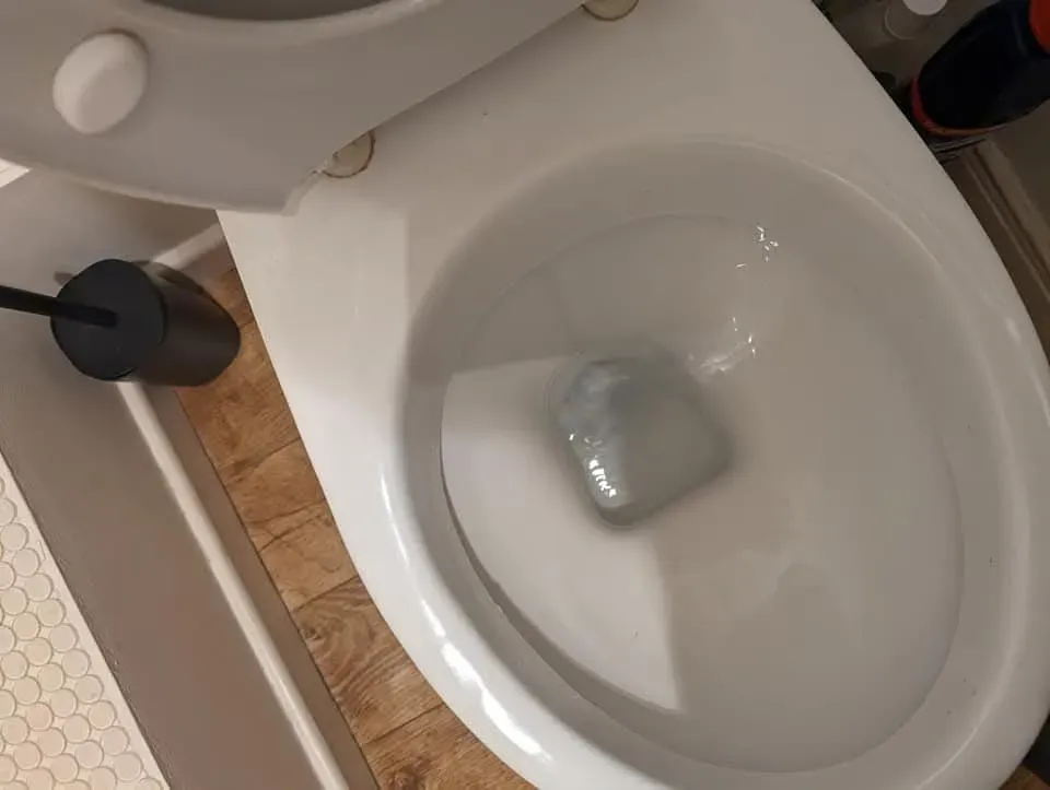 Blocked toilet needing unblocking.