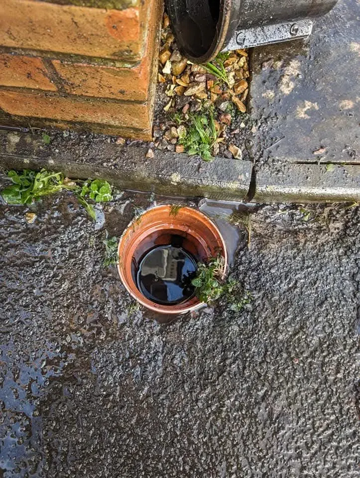An image showing a blocked or overflowing outside drain with water pooling on the ground.