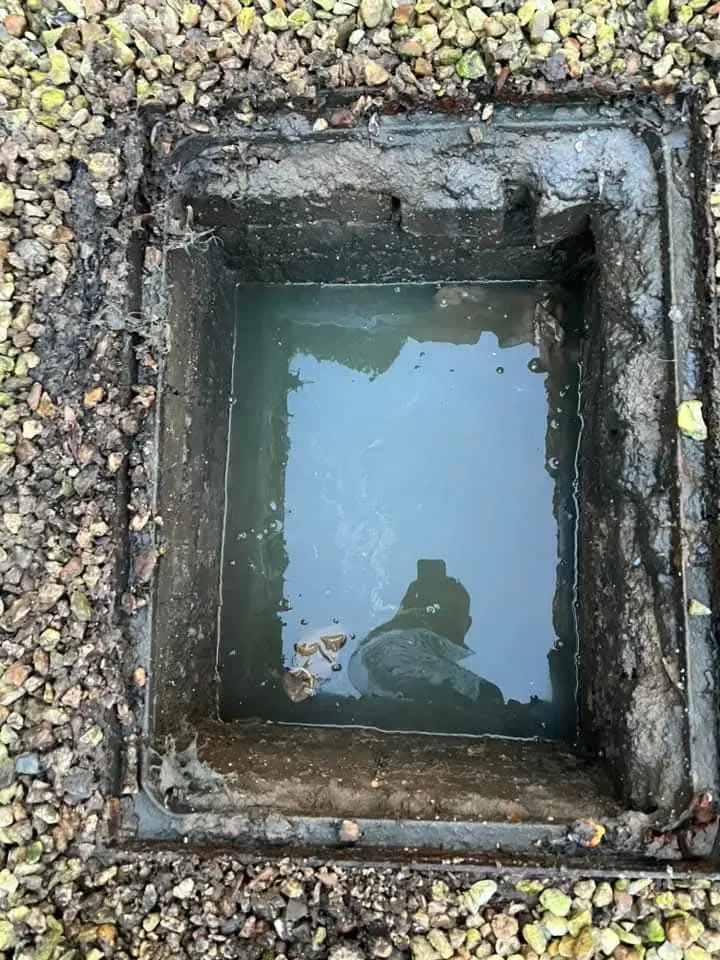 A picture of a blocked drain