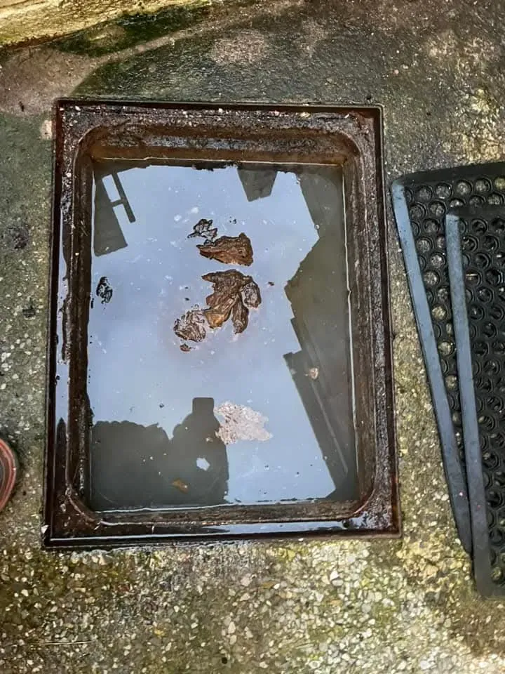 Overflowing outdoor drain